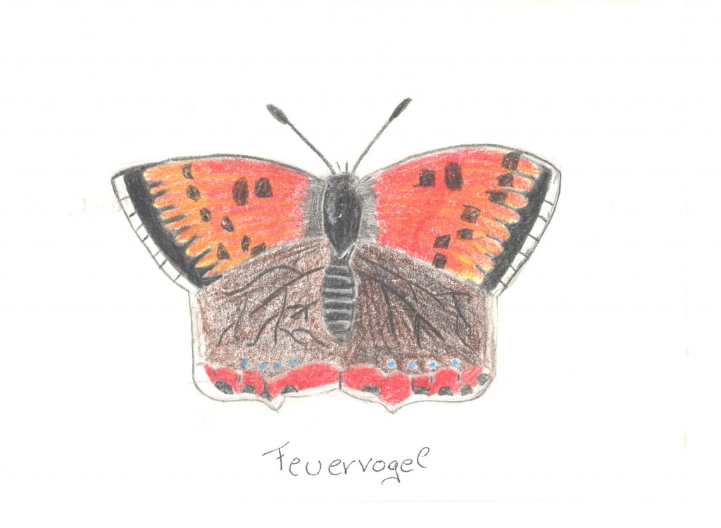 FeuerVogelLaura