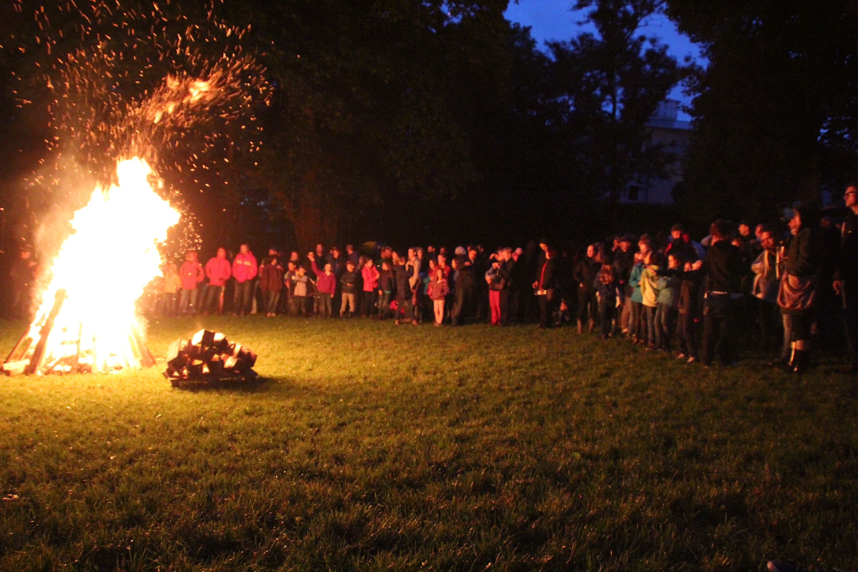 Sonnwendfeier 2015: Fotos | Linz 8